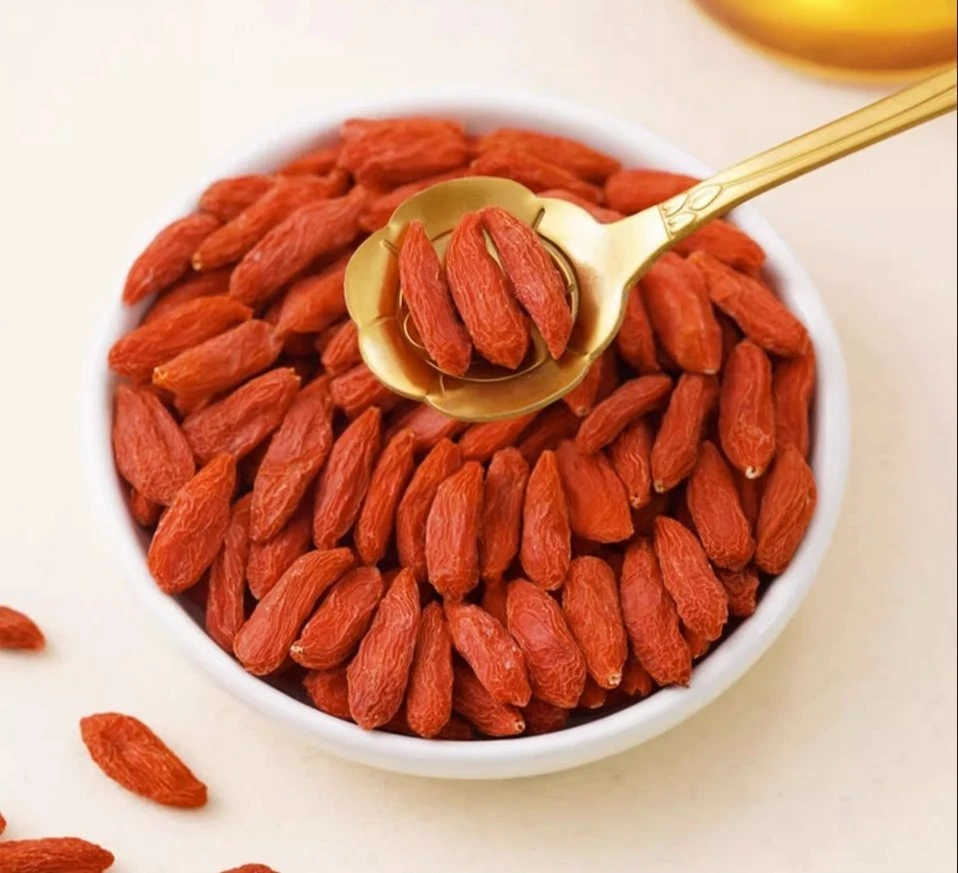 Organic Wolfberries factory
